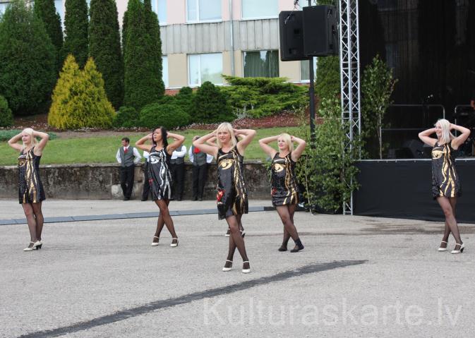 Salas novada svētki